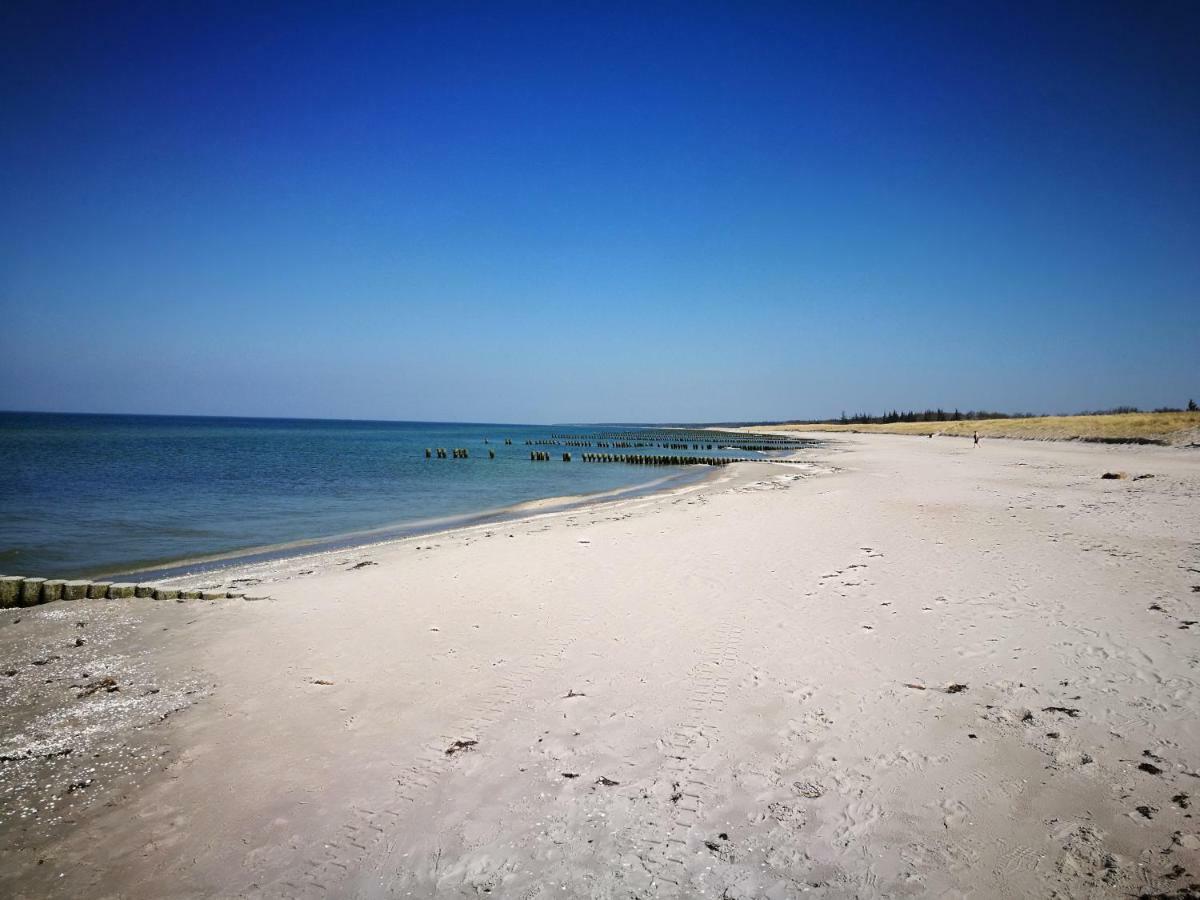 Darsser Strandgut - Haus Ahrenshooper Holz ภายนอก รูปภาพ