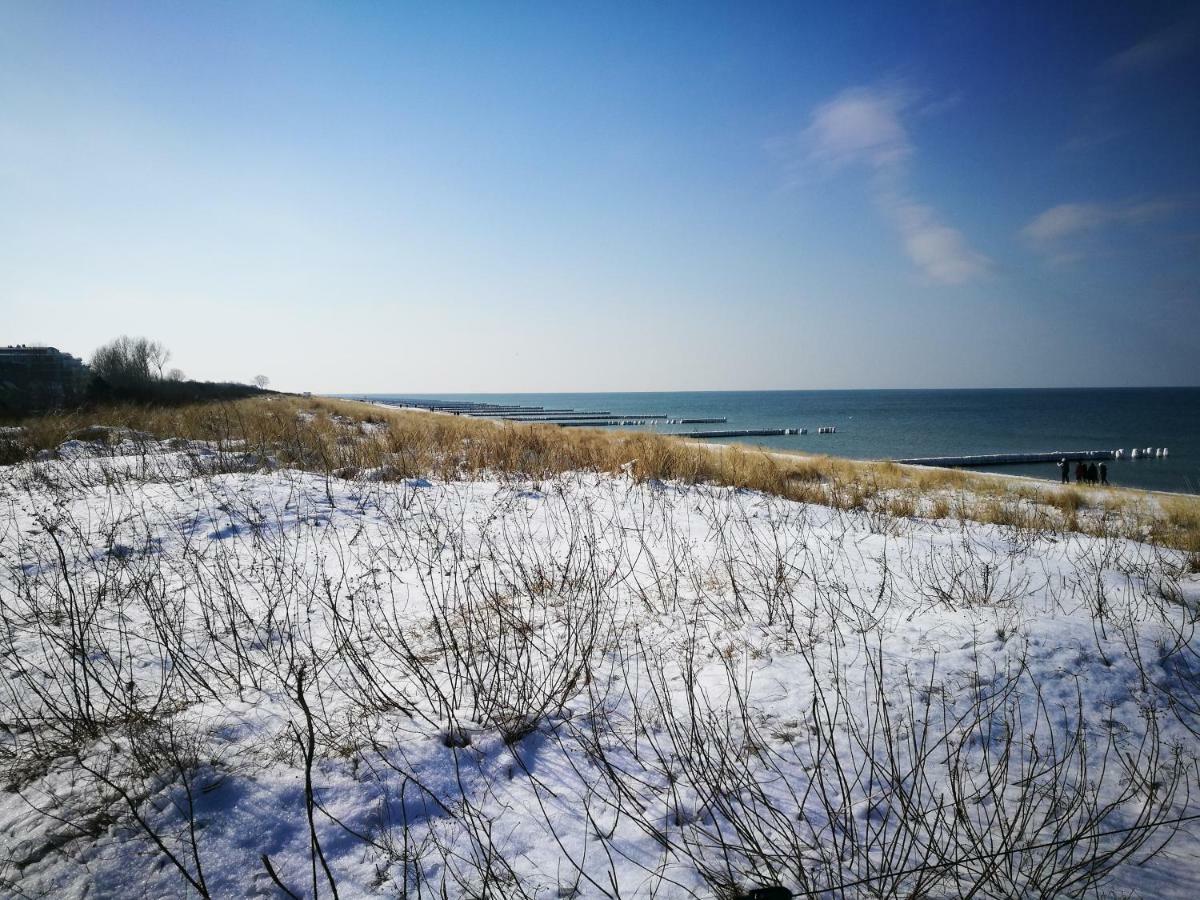 Darsser Strandgut - Haus Ahrenshooper Holz ภายนอก รูปภาพ