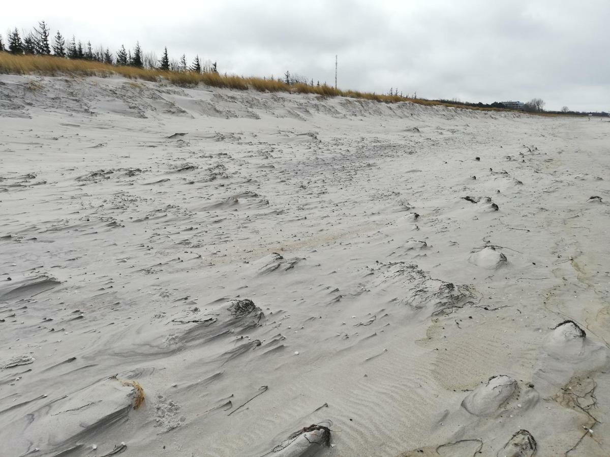 Darsser Strandgut - Haus Ahrenshooper Holz ภายนอก รูปภาพ